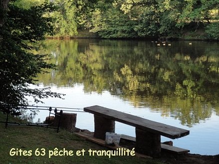 Les 2 siamois gite 63