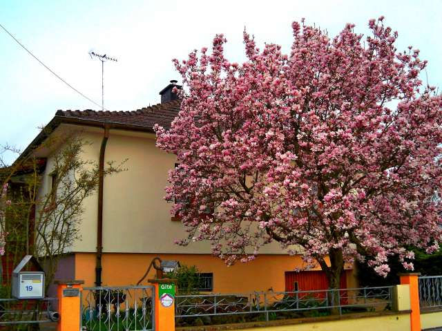 Photo Gte rural Jebsheim Gites de la blind gite du mondain