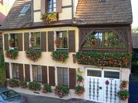 Gite du vignoble