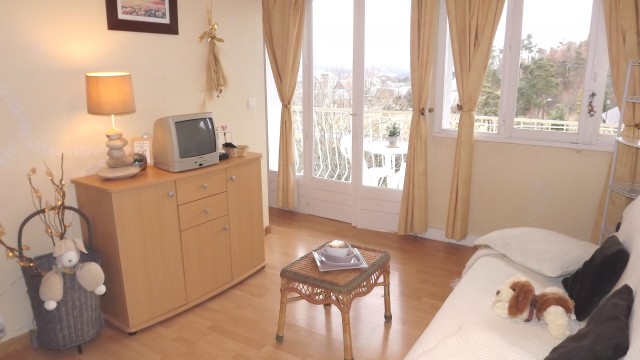 Photo Studio / Appartement Murol Les elfes