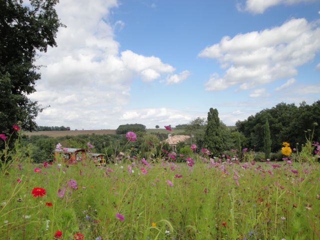 Photo Roulotte gite Saint salvy Les roulottes du sud ouest
