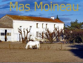 Photo Chambre d'hte Saint pierre de mzoargues Mas moineau