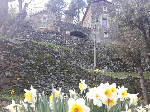 Photo location de gtes et chambre d'hte  chambon Mas des sources cevenol