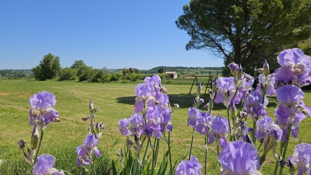 Jardin