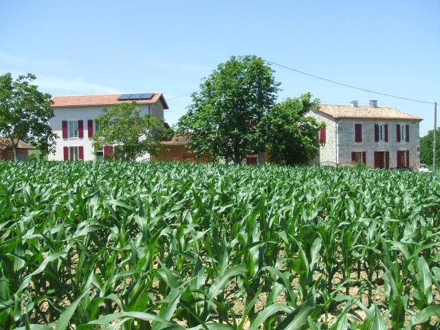 Photo Gtes-chambres- Damazan La vigneraie