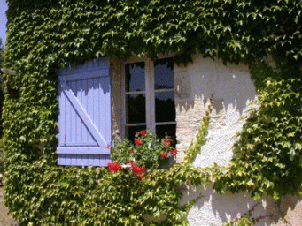 Photo Chambre d'hte Captieux Domaine de londeix